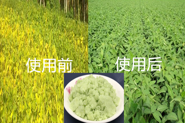 硫酸亞鐵用于農業生產,咨詢電話:13838587319